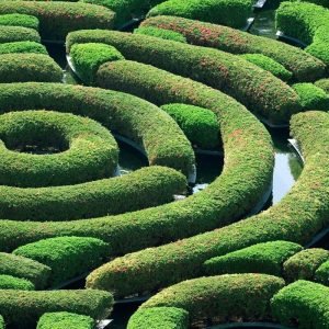 amenities generic 6.jpg